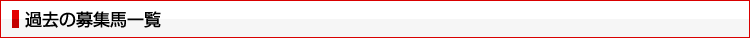 過去の募集馬一覧